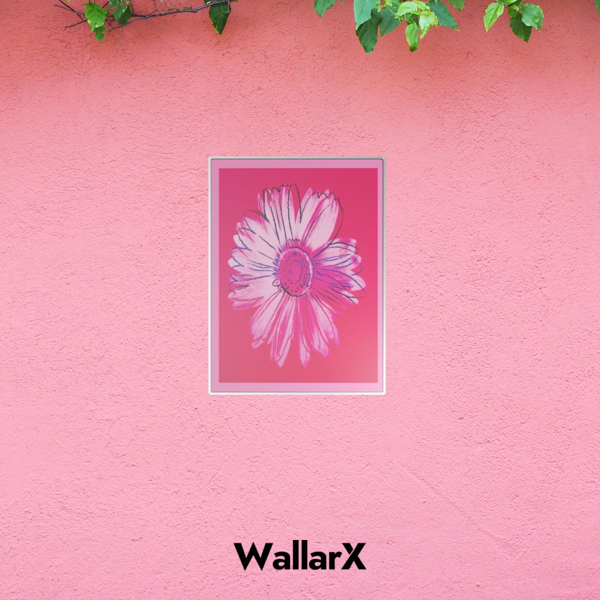 Pink wall with a pink daisy aluminum poster